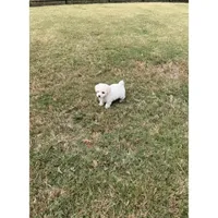 processed/cc99868b-922c-4bd5-bfa3-51b9a12c44ab/facility/d51303e8-20f7-4a9f-a7bf-03d73e72b2ac