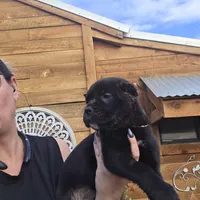 processed/cc9f204b-b6c8-4fe4-b2f6-40d3130a2058/facility/32dfe649-7450-4d2a-b254-8c00ea0dbe10