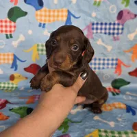 processed/cc9f204b-b6c8-4fe4-b2f6-40d3130a2058/facility/9f439a11-b11a-4503-b543-cc8a6247747a