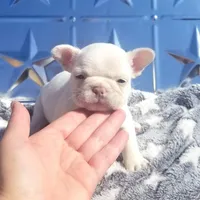 processed/cc9f204b-b6c8-4fe4-b2f6-40d3130a2058/facility/bf15d782-7b9c-4eeb-afcd-95c700f4d089