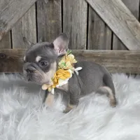 processed/cc9f204b-b6c8-4fe4-b2f6-40d3130a2058/facility/fc941ddd-25c4-4e7d-9278-077c114f27b0