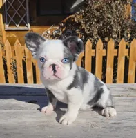 processed/cc9f204b-b6c8-4fe4-b2f6-40d3130a2058/listing/42d0c274-97a0-4a21-b56f-3724a43b56bd/1517f7f9-ee32-4070-94ec-5995b38dfca9