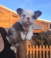 processed/cc9f204b-b6c8-4fe4-b2f6-40d3130a2058/listing/42d0c274-97a0-4a21-b56f-3724a43b56bd/b305fd4c-1d41-4173-a02f-95796c6c22db