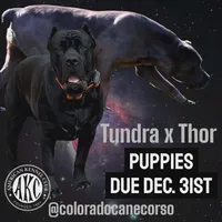 processed/cc9f204b-b6c8-4fe4-b2f6-40d3130a2058/listing/4346454c-473f-467a-9b9b-f1cd09417d91/f62e9923-26a9-4029-a615-2123c05cec3d