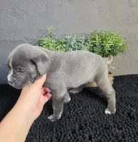 processed/cc9f204b-b6c8-4fe4-b2f6-40d3130a2058/listing/4346454c-473f-467a-9b9b-f1cd09417d91/f717616e-e125-4d8c-b498-63e5f40c11d4