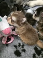 processed/cc9f204b-b6c8-4fe4-b2f6-40d3130a2058/listing/a156cbeb-219d-4ca6-81df-2488ee27f72e/c874e789-9839-4c49-b109-5659adbe8819