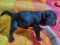 processed/cca89967-d2d8-42db-b171-f058d04ca04d/listing/3c9a6b8b-d985-4c2c-9982-3a007d4891b9/638df638-ea91-4bba-b32f-99cd4ece9a8b