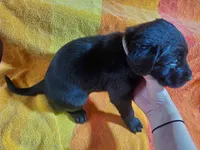 processed/cca89967-d2d8-42db-b171-f058d04ca04d/listing/41c53e70-594e-4559-85f1-b8e241899e8a/3b1b36ac-a241-4022-8040-8c3c061edce3