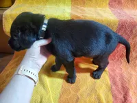 processed/cca89967-d2d8-42db-b171-f058d04ca04d/listing/41c53e70-594e-4559-85f1-b8e241899e8a/4081b20f-e729-477b-8e68-218e080dd351