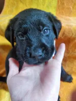 processed/cca89967-d2d8-42db-b171-f058d04ca04d/listing/41c53e70-594e-4559-85f1-b8e241899e8a/fdbbed2d-d78c-4c47-a908-b6e27003e3b9