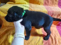 processed/cca89967-d2d8-42db-b171-f058d04ca04d/listing/5aa7d3e1-af65-401f-a7e7-9ecf4ef5b178/492f7205-e705-4506-b8e6-eb246d8052e0