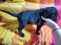 processed/cca89967-d2d8-42db-b171-f058d04ca04d/listing/5aa7d3e1-af65-401f-a7e7-9ecf4ef5b178/500323dc-e80e-4b7d-8d9f-ed7cae14aeb7