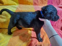 processed/cca89967-d2d8-42db-b171-f058d04ca04d/listing/dbb184ef-6d38-4ee2-ac51-f99fd7c7ef82/00850da8-78b0-4b53-80e4-a6576dbbc371