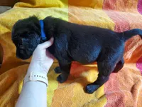 processed/cca89967-d2d8-42db-b171-f058d04ca04d/listing/dbb184ef-6d38-4ee2-ac51-f99fd7c7ef82/216008df-9be9-4943-83bf-0302222698d5