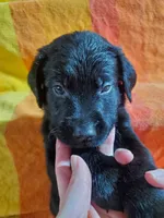 processed/cca89967-d2d8-42db-b171-f058d04ca04d/listing/dbb184ef-6d38-4ee2-ac51-f99fd7c7ef82/50a3e6e2-7089-44e4-ba58-36b35e7d5d00