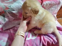 processed/cca89967-d2d8-42db-b171-f058d04ca04d/listing/e64a1a49-bef0-4abe-8ce7-a28d6dc33ecf/da85113f-3c26-407a-9fde-459a17272c95