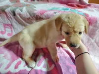 processed/cca89967-d2d8-42db-b171-f058d04ca04d/listing/e64a1a49-bef0-4abe-8ce7-a28d6dc33ecf/f4bb292c-c2ef-4c8a-9b25-bdd52cf10035