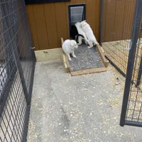 processed/ccab7d4f-d9e2-4fc0-b18b-1ab7e38a1e00/facility/55517aa8-e2a8-4149-9b43-f4adf43f1a24