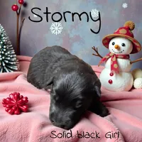 processed/ccab7d4f-d9e2-4fc0-b18b-1ab7e38a1e00/listing/5716163e-864b-4861-b42d-6322d3a6538a/289409fb-226c-4ce0-866b-90ff3f37129e