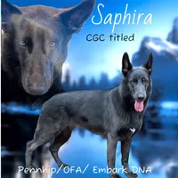 processed/ccab7d4f-d9e2-4fc0-b18b-1ab7e38a1e00/listing/5716163e-864b-4861-b42d-6322d3a6538a/c1c8f5f4-2c84-463f-a4d3-1380ce64c005