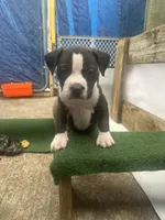 processed/ccac292f-bd47-4f34-bf9b-10fb4d8b3a1d/facility/3da0cdd0-d488-40af-9937-475387eb5dc4