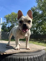 processed/ccac292f-bd47-4f34-bf9b-10fb4d8b3a1d/facility/80e659f3-3f43-4dad-a93d-535bb0067338