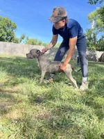 processed/ccac292f-bd47-4f34-bf9b-10fb4d8b3a1d/facility/a5f6fbe4-94c8-4a17-9bfe-46260298e588