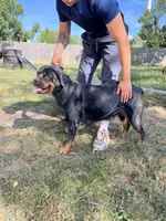 processed/ccac292f-bd47-4f34-bf9b-10fb4d8b3a1d/facility/bb162045-294c-4b9e-9c80-80151f34a9ae