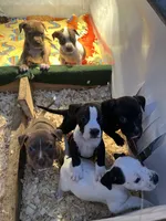 processed/ccac292f-bd47-4f34-bf9b-10fb4d8b3a1d/facility/bd88e6c5-bf86-44fa-8c56-1628f97faf88