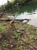 processed/ccac292f-bd47-4f34-bf9b-10fb4d8b3a1d/facility/c25ed41c-bd7b-4f0e-905f-120a0c213863