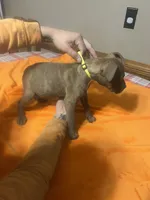 processed/ccac292f-bd47-4f34-bf9b-10fb4d8b3a1d/listing/91392e15-9a2f-4d11-a182-908419700b09/185464ea-13fa-46ef-8040-154b8ecb4506