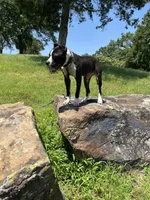 processed/ccac292f-bd47-4f34-bf9b-10fb4d8b3a1d/listing/91392e15-9a2f-4d11-a182-908419700b09/61284c02-45a6-4f68-bc25-62108b421492