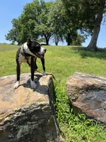 processed/ccac292f-bd47-4f34-bf9b-10fb4d8b3a1d/listing/91392e15-9a2f-4d11-a182-908419700b09/819c1ff4-697f-4083-a3ba-0de2d5ebb81f