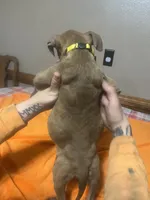 processed/ccac292f-bd47-4f34-bf9b-10fb4d8b3a1d/listing/91392e15-9a2f-4d11-a182-908419700b09/c552e8c5-088e-4899-a173-b9a274df6a63