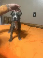 processed/ccac292f-bd47-4f34-bf9b-10fb4d8b3a1d/listing/abf4aa09-e6d7-49f3-9a35-32531be02430/3e722eff-bc90-4b9e-bf3f-7b0a276c0e3e