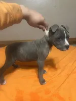 processed/ccac292f-bd47-4f34-bf9b-10fb4d8b3a1d/listing/abf4aa09-e6d7-49f3-9a35-32531be02430/627ee5fd-4e11-4e5a-9944-5fac60ae168f