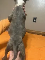 processed/ccac292f-bd47-4f34-bf9b-10fb4d8b3a1d/listing/abf4aa09-e6d7-49f3-9a35-32531be02430/bf4a42b1-e74d-47ff-ba51-6507743fa744