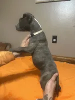 processed/ccac292f-bd47-4f34-bf9b-10fb4d8b3a1d/listing/abf4aa09-e6d7-49f3-9a35-32531be02430/c1db7b2e-5e11-41b4-b11c-c0ef515f9560