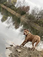 processed/ccac292f-bd47-4f34-bf9b-10fb4d8b3a1d/listing/af815587-2582-454c-ae1e-588cb8c74f93/01084e77-4a7a-401a-8a14-81728e997e33