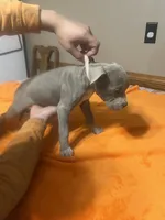 processed/ccac292f-bd47-4f34-bf9b-10fb4d8b3a1d/listing/af815587-2582-454c-ae1e-588cb8c74f93/08975e21-af88-49e0-9f9b-c9a8a42f5afd