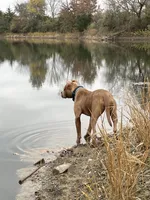 processed/ccac292f-bd47-4f34-bf9b-10fb4d8b3a1d/listing/af815587-2582-454c-ae1e-588cb8c74f93/45467939-38c8-48f6-b407-5938b8a349cc