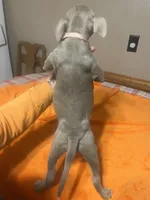 processed/ccac292f-bd47-4f34-bf9b-10fb4d8b3a1d/listing/af815587-2582-454c-ae1e-588cb8c74f93/9f3a1544-65d5-4e5b-9dc5-bfdd0f24f1f1