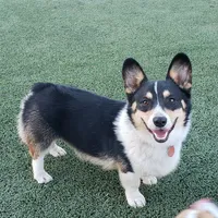 processed/ccb4b48b-59c1-497c-9c0a-e085e061d1c5/facility/0412ba0f-96bb-4e95-8e0e-6ef7cec2887f