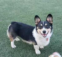 processed/ccb4b48b-59c1-497c-9c0a-e085e061d1c5/facility/0412ba0f-96bb-4e95-8e0e-6ef7cec2887f