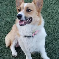 processed/ccb4b48b-59c1-497c-9c0a-e085e061d1c5/facility/2fa98980-3e71-4b60-9903-db434571c97d