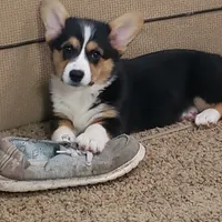 processed/ccb4b48b-59c1-497c-9c0a-e085e061d1c5/facility/41643f74-e32b-4106-a190-79b7f897cf30