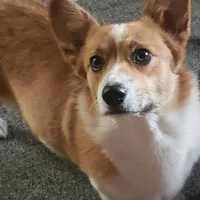 processed/ccb4b48b-59c1-497c-9c0a-e085e061d1c5/facility/8b9006da-4ae2-4724-a4e4-a09e148b2fec