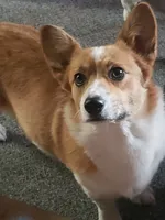 processed/ccb4b48b-59c1-497c-9c0a-e085e061d1c5/facility/8b9006da-4ae2-4724-a4e4-a09e148b2fec