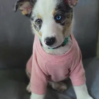 processed/ccb4b48b-59c1-497c-9c0a-e085e061d1c5/facility/a46c02ac-6150-4397-a78e-543aa5f25f0a