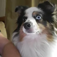 processed/ccb4b48b-59c1-497c-9c0a-e085e061d1c5/facility/b9346fe2-a721-4e0b-a073-5583b47b50a8